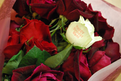 �ԑ�&���b�Z�[�W���[�Y�ԑ�