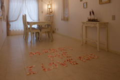 �o���[���f�R���[�V����