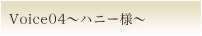 Voice04 �n�j�[�l